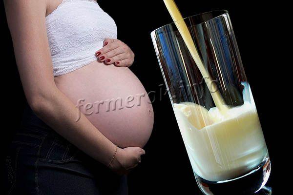 Доктора настоятельно советуют включать козье молоко в питание беременных и кормящих матерей
