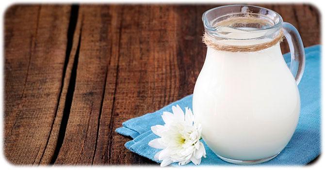 Полезные свойства козьего молока