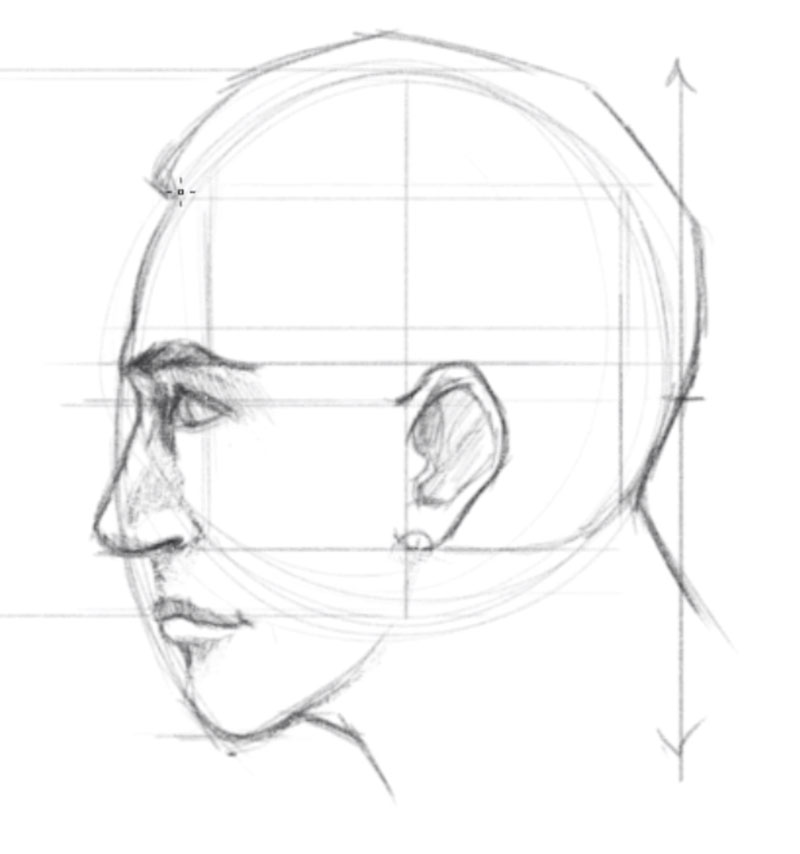How to draw faces side view - step - 6 - Draw the Ear on the Side of the Face