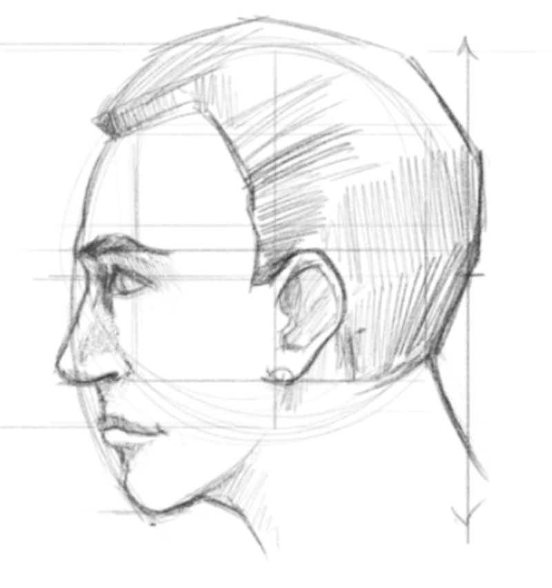 Sketch a face side view - step - 7 - Add the hair