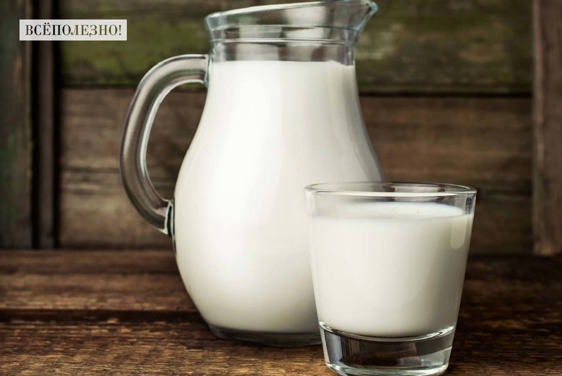 В чем польза козьего молока для организма