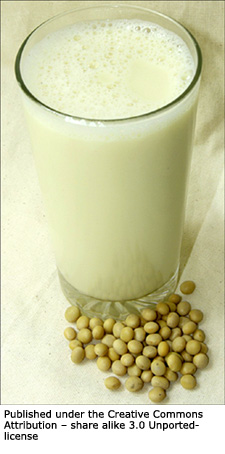 Soy milk and soy beans.