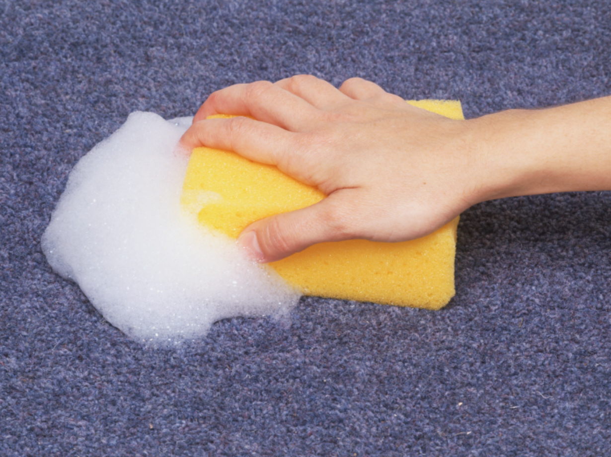 hand scrubbing sponge on dirty carpet