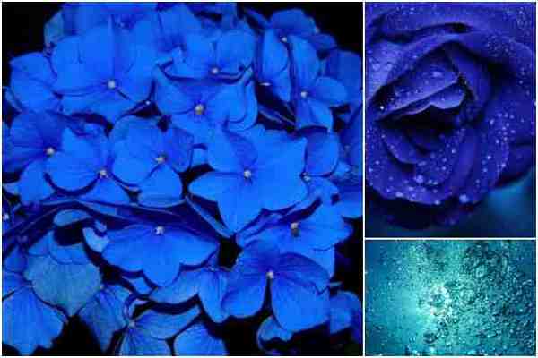 Оттенки синего оказывают разноплановое и благотворное влияние на организм человека